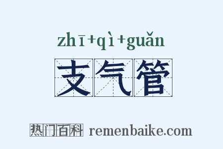 支气管是什么意思的图片